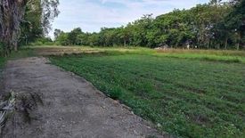 Land for sale in Mueang Kaeo, Chiang Mai