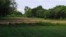 Land for sale in Mueang Kaeo, Chiang Mai