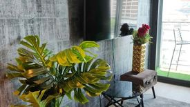 1 Bedroom Condo for sale in Ashton Silom, Suriyawong, Bangkok near BTS Chong Nonsi