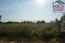 Land for sale in Nong Prue, Chonburi