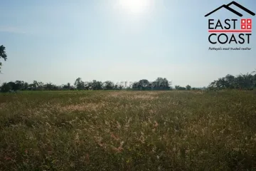 Land for sale in Nong Prue, Chonburi