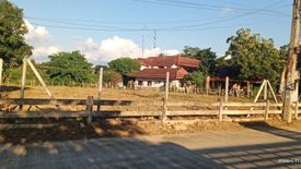 Land for sale in Don Kaeo, Chiang Mai