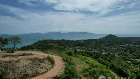 Land for sale in Mae Nam, Surat Thani