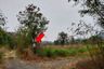 Land for sale in Dong Khui, Phetchabun