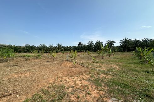 Land for sale in Kalai, Phang Nga