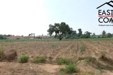 Land for sale in Nong Prue, Chonburi