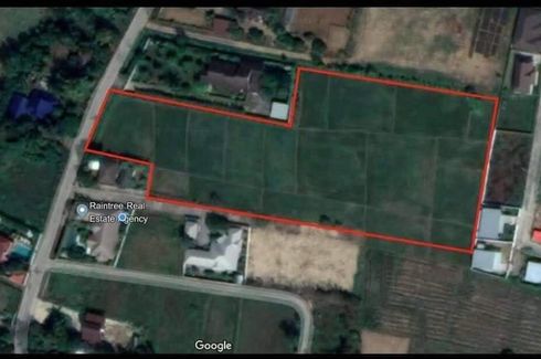 Land for sale in Buak Khang, Chiang Mai