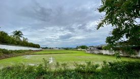 Land for sale in Buak Khang, Chiang Mai