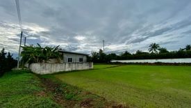 Land for sale in Buak Khang, Chiang Mai