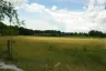 Land for sale in Nong Prue, Chonburi