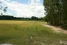 Land for sale in Nong Prue, Chonburi
