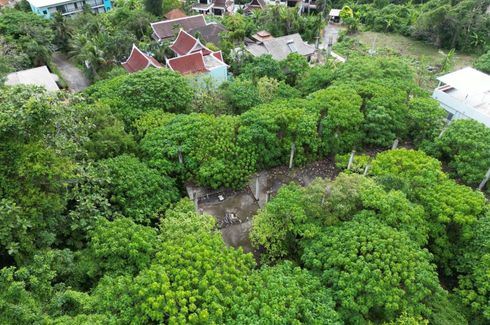 Land for sale in Kamala, Phuket