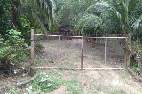 Land for sale in Thung Maphrao, Phang Nga