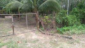 Land for sale in Thung Maphrao, Phang Nga