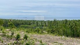 Land for sale in Ko Pha-ngan, Surat Thani