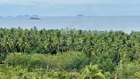 Land for sale in Ko Pha-ngan, Surat Thani