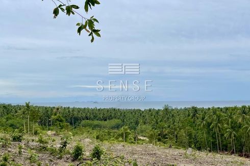 Land for sale in Ko Pha-ngan, Surat Thani