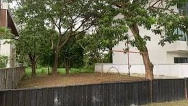 Land for sale in Tha Sala, Chiang Mai