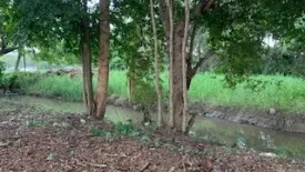 Land for sale in Tha Sala, Chiang Mai