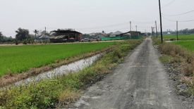 Land for sale in Nong Faek, Chiang Mai