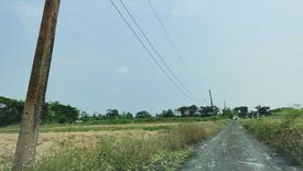 Land for sale in Nong Faek, Chiang Mai