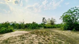Land for sale in Ban Luang, Chiang Mai