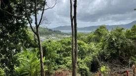 Land for sale in Patong, Phuket