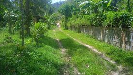 Land for sale in Si Sunthon, Phuket