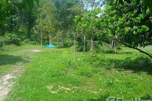 Land for sale in Si Sunthon, Phuket