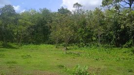 Land for sale in Si Sunthon, Phuket