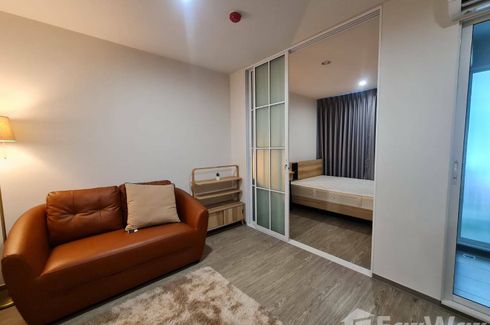 1 Bedroom Condo for rent in Regent Home Sukhumvit 97/1, Bang Chak, Bangkok near BTS Bang Chak
