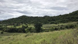 Land for sale in Wang Phong, Prachuap Khiri Khan