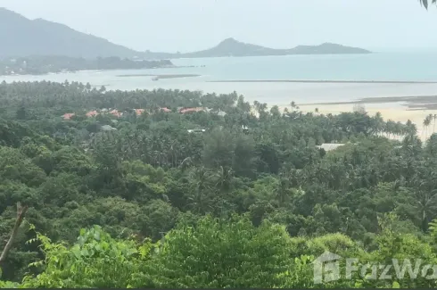 Land for sale in Maret, Surat Thani