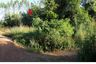Land for sale in Sa Kaeo, Sa Kaeo