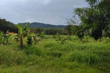 Land for sale in Thep Krasatti, Phuket