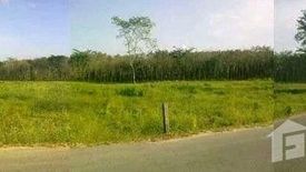 Land for sale in Thep Krasatti, Phuket