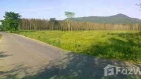 Land for sale in Thep Krasatti, Phuket