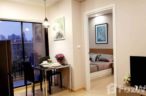 1 Bedroom Condo for rent in The Tree Onnut Station, Bang Chak, Bangkok near BTS On Nut