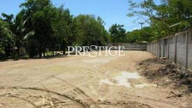 Land for sale in Nong Prue, Chonburi