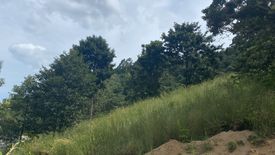 Land for sale in Bo Phut, Surat Thani