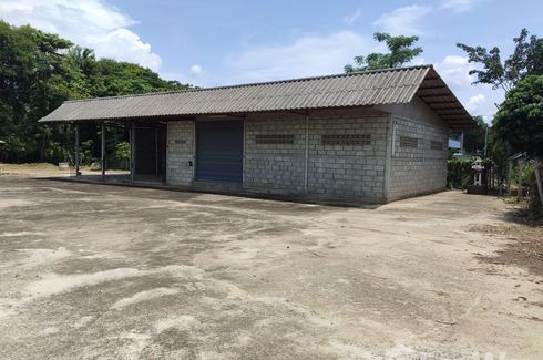 Land for sale in Nong Kaeo, Chiang Mai