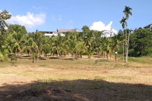 Land for sale in Pa Khlok, Phuket