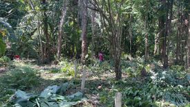 Land for sale in Si Sunthon, Phuket