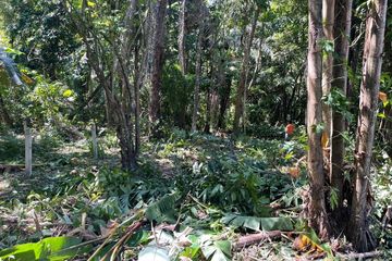 Land for sale in Si Sunthon, Phuket