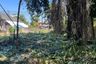 Land for sale in Si Sunthon, Phuket