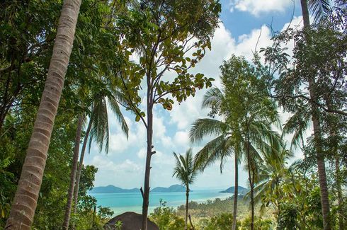 Land for sale in Santikhiri Estate, Na Mueang, Surat Thani