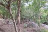 Land for sale in Santikhiri Estate, Na Mueang, Surat Thani