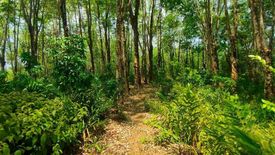 Land for sale in Pa Khlok, Phuket