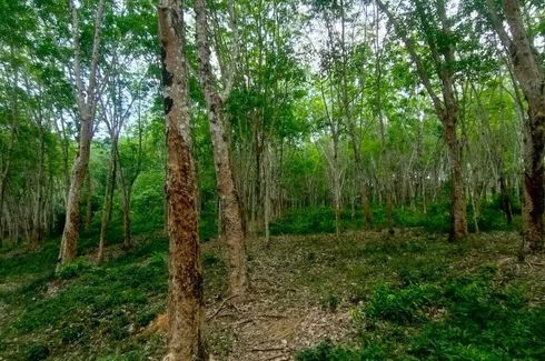 Land for sale in Pa Khlok, Phuket