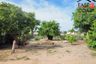 Land for sale in Nong Prue, Chonburi